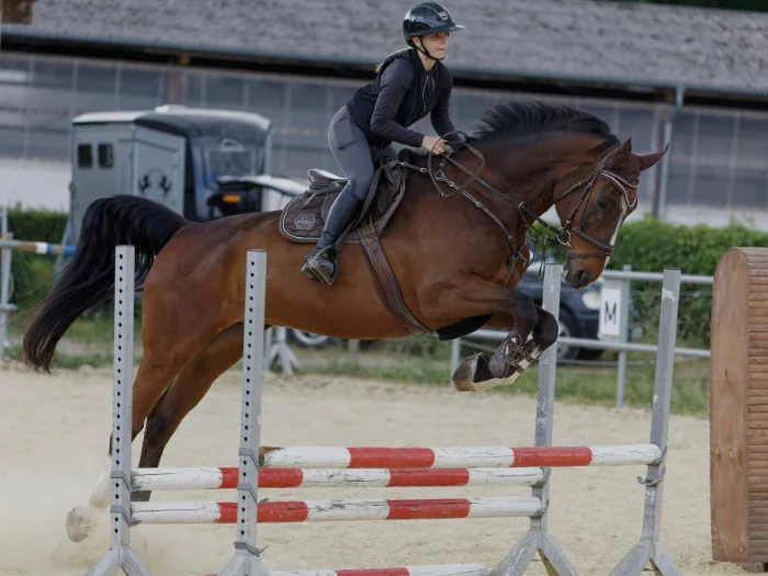 Reiterin springt mit braunem Pferd über Hindernis bei einem Reitturnier.