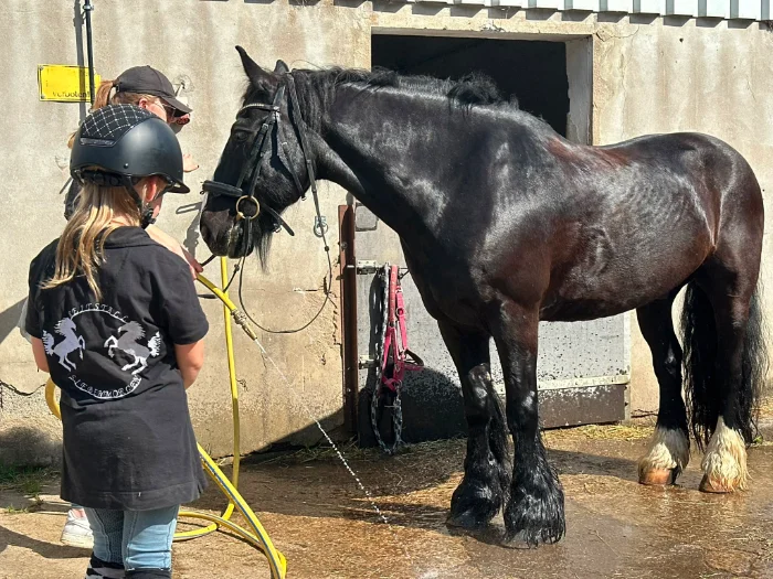 Zwei Kinder wässern ein großes schwarzes Pferd vor einem Stall mit einem gelben Wasserschlauch.