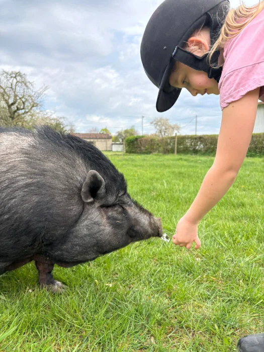 Kind mit Reithelm füttert ein schwarzes Schwein auf grünem Gras im Freien.